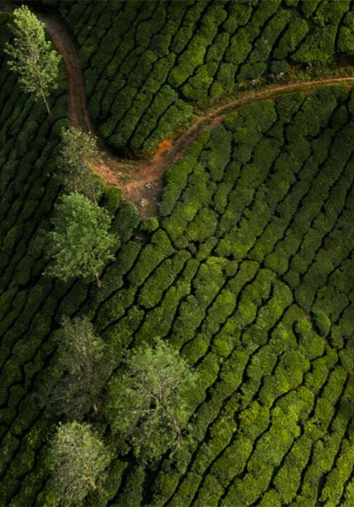 coming-soon-bg-02-portrait-077128a30af31a64aec3c0d78a882285-74mlwsxrtfjz